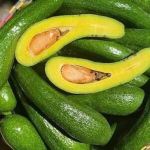034 Avocado