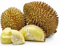 Durian Monthong (graft)