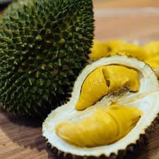 Durian Musang King (graft)
