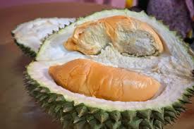 Durian Red Prawn (graft)