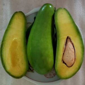 Russel Avocado