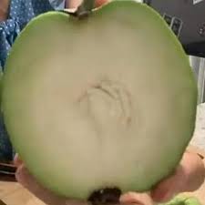 Seed-Free Guava (layer)