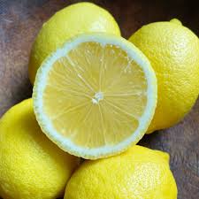 Seedless Lemon (graft)
